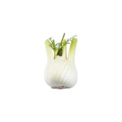 گوجه فرنگی ارگانیک